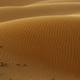 Illustration for article titled Scientists Flattened a Desert With Bulldozers to Study Sand Dunes
